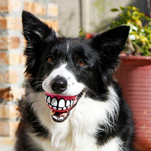 Rogz Grinz Balls for Dogs (Small - 2")