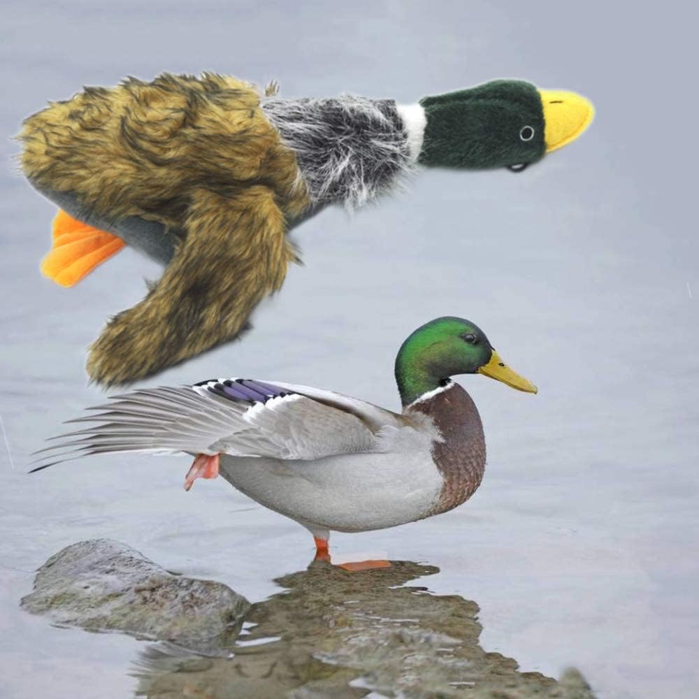 Mallard Duck Plush & Stuffed Toy for Dogs Toy 8''