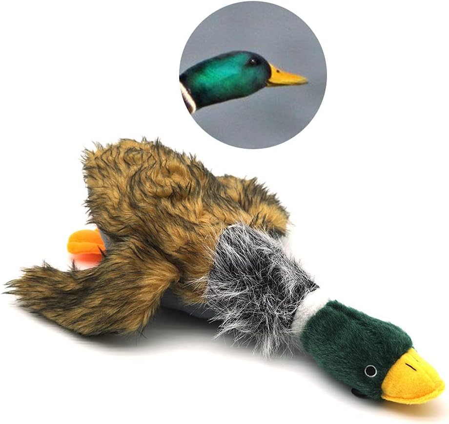 Mallard Duck Plush & Stuffed Toy for Dogs Toy 8''