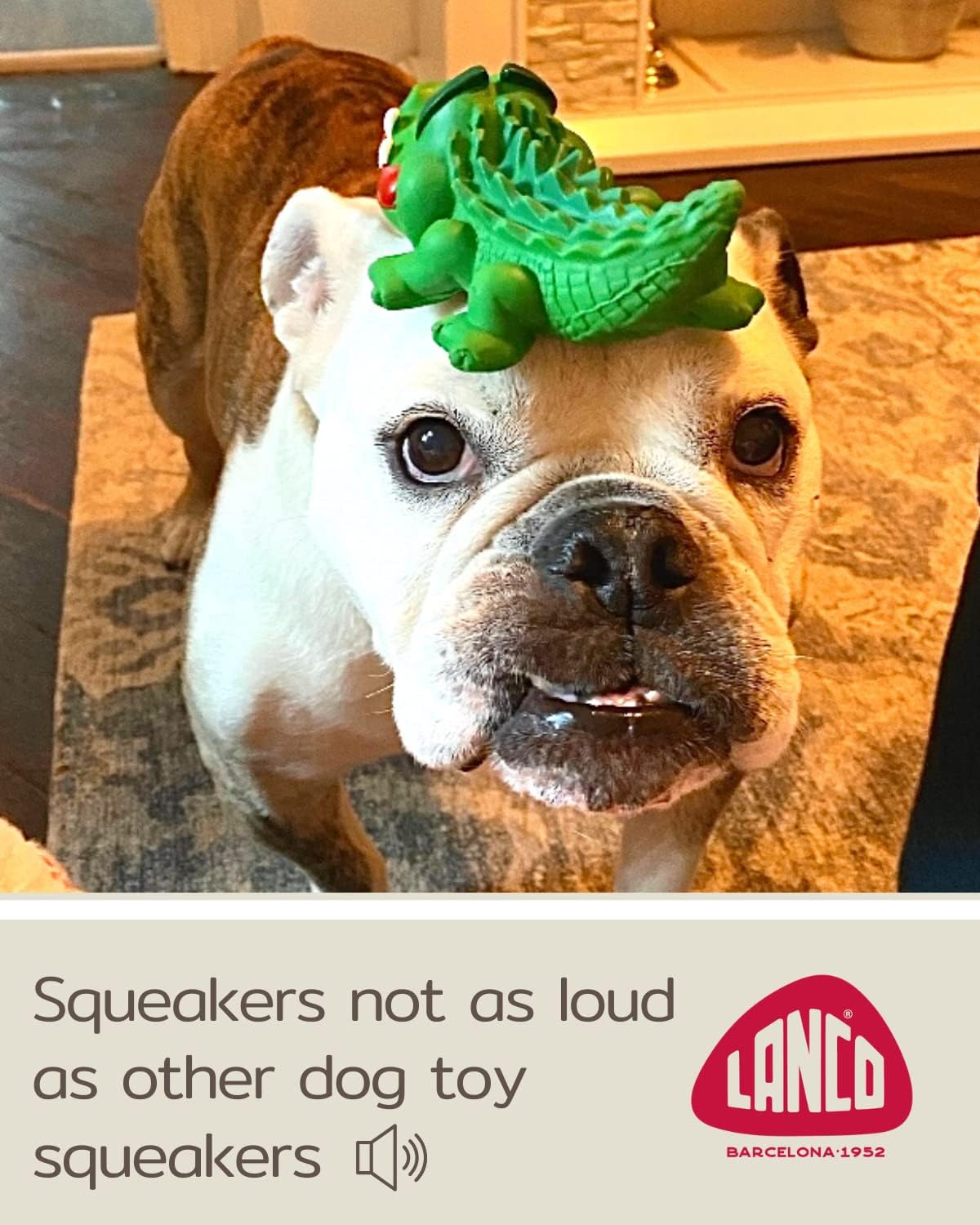 Crocodile Sensory Dog Toy Natural Rubber (Latex)