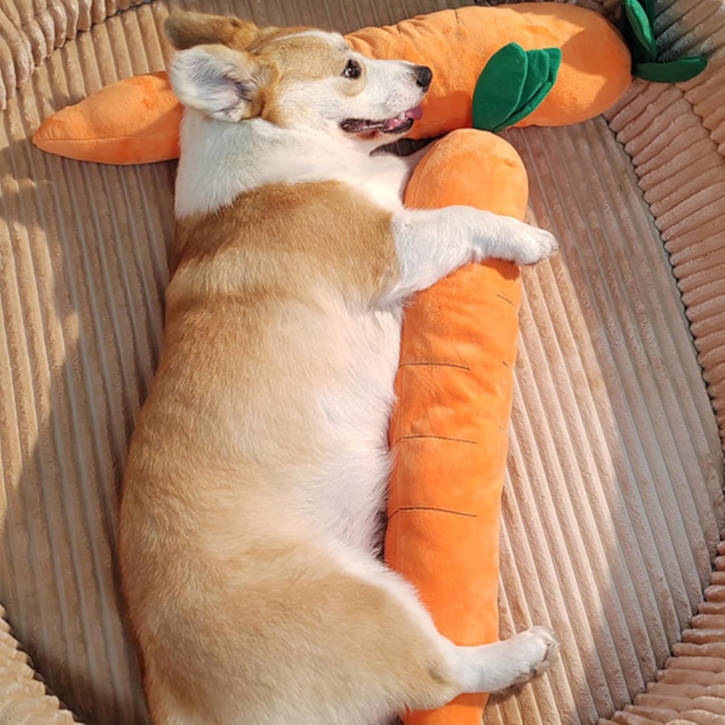 Calming Carrot Dog Toy