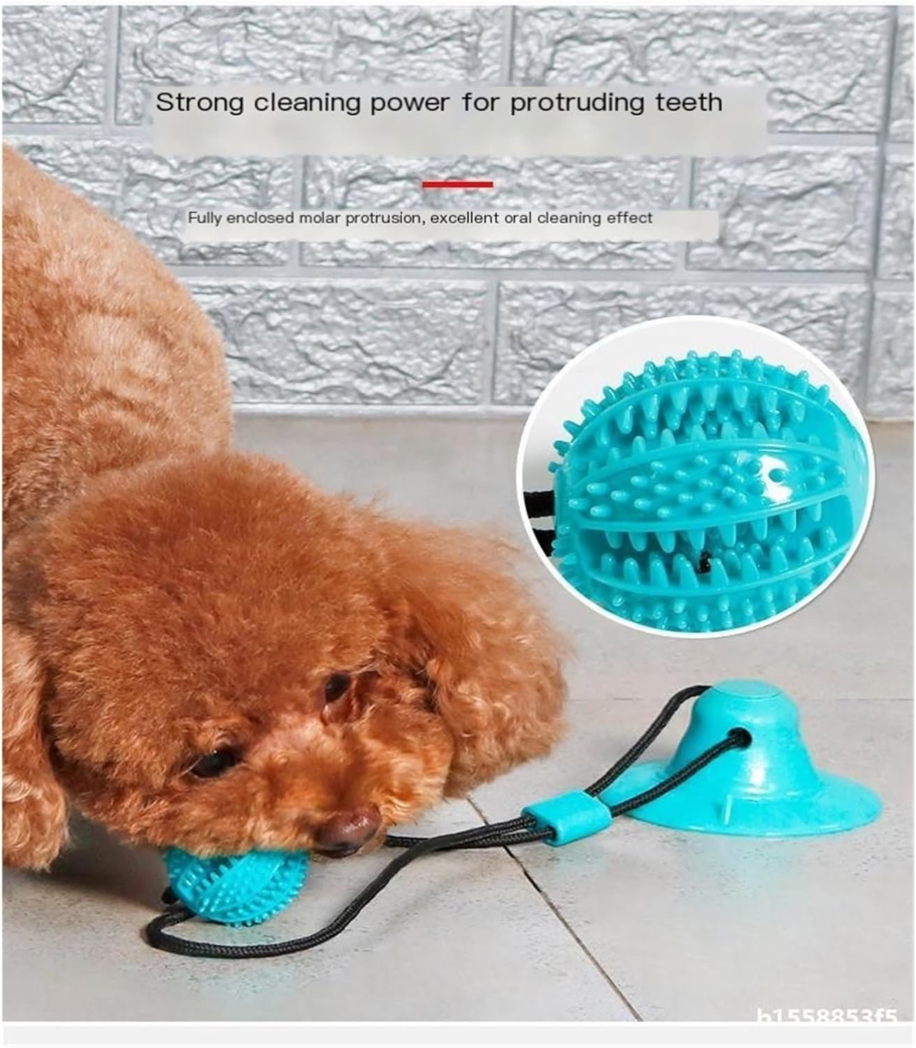 Interactive Suction Cup Chew Ball with Food Dispenser (L)