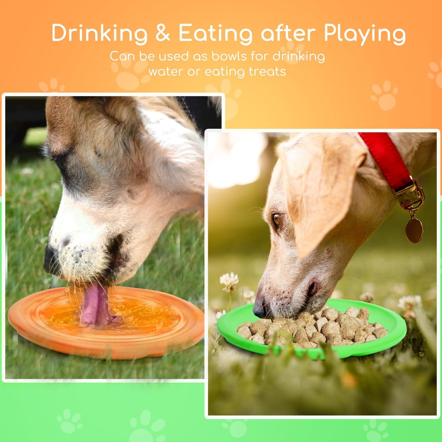 2 Pack Dog Flying Disc (Orange & Green)