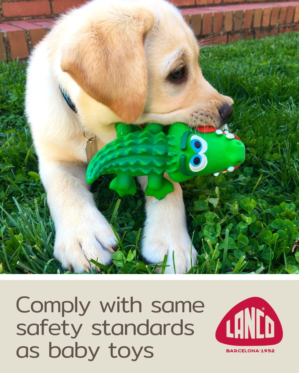 Crocodile Sensory Dog Toy Natural Rubber (Latex)