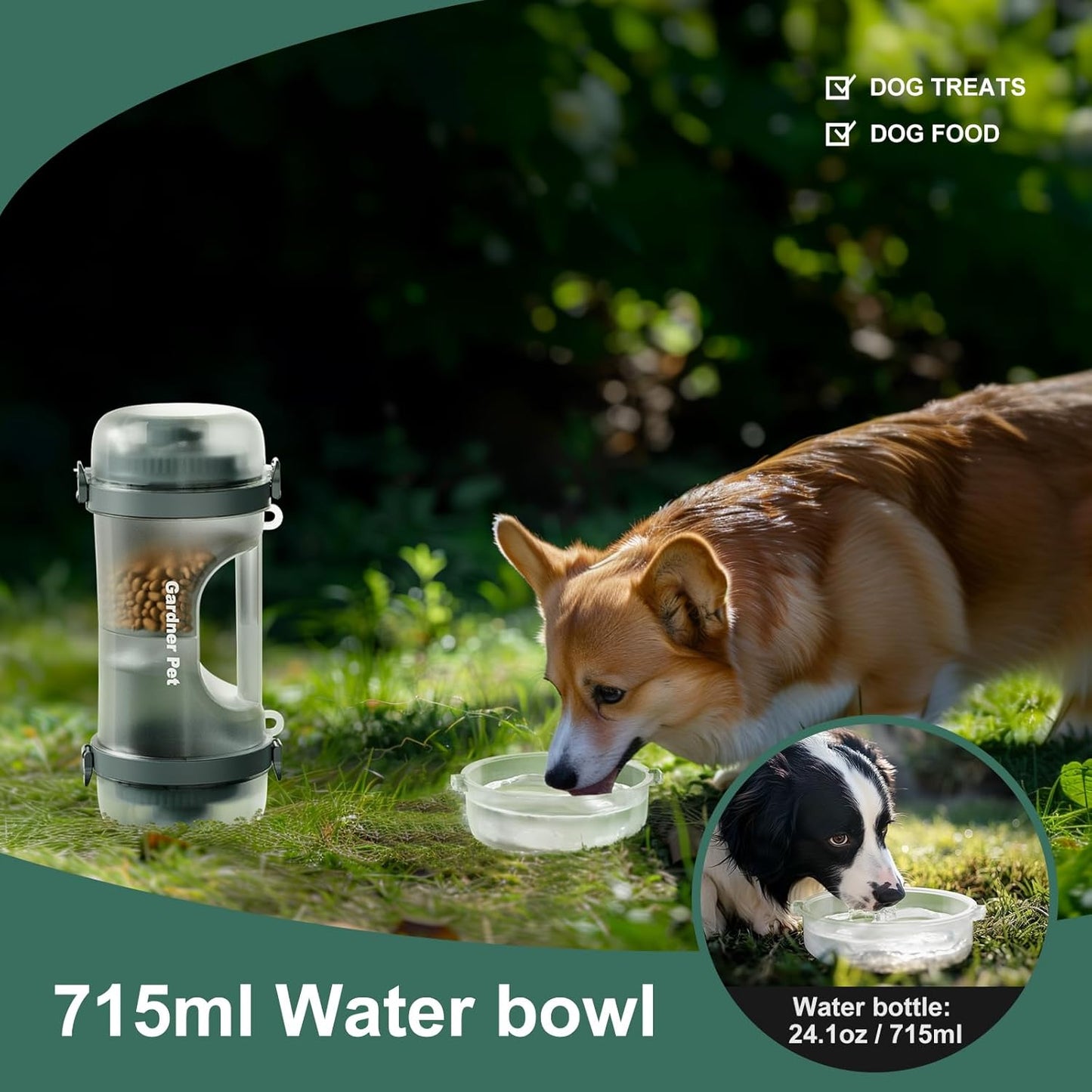 2-In-1 Portable Travel Water Bottle for Dogs with Food Container (Black)