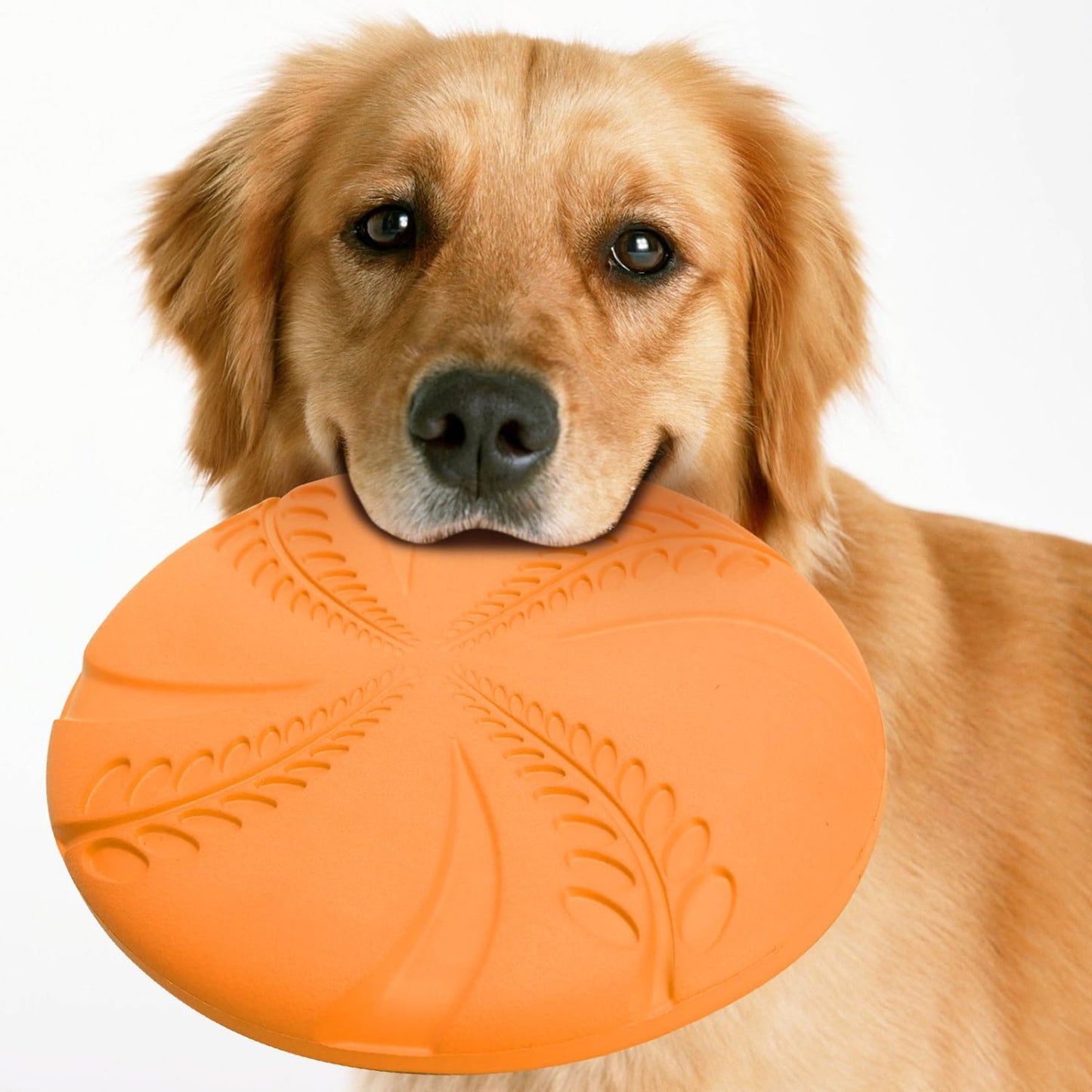 2 Pack Dog Flying Disc (Orange & Green)