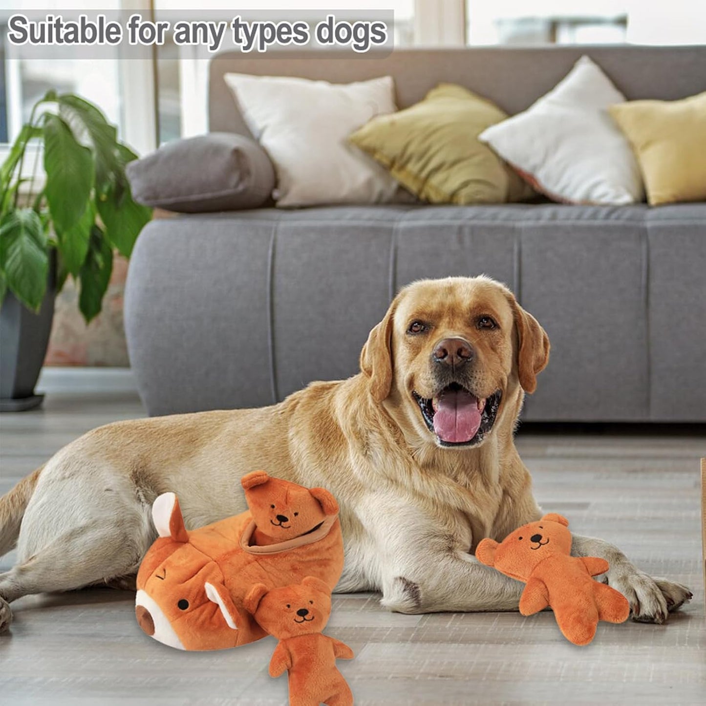 Plush Dog Toy Squeaky Bear