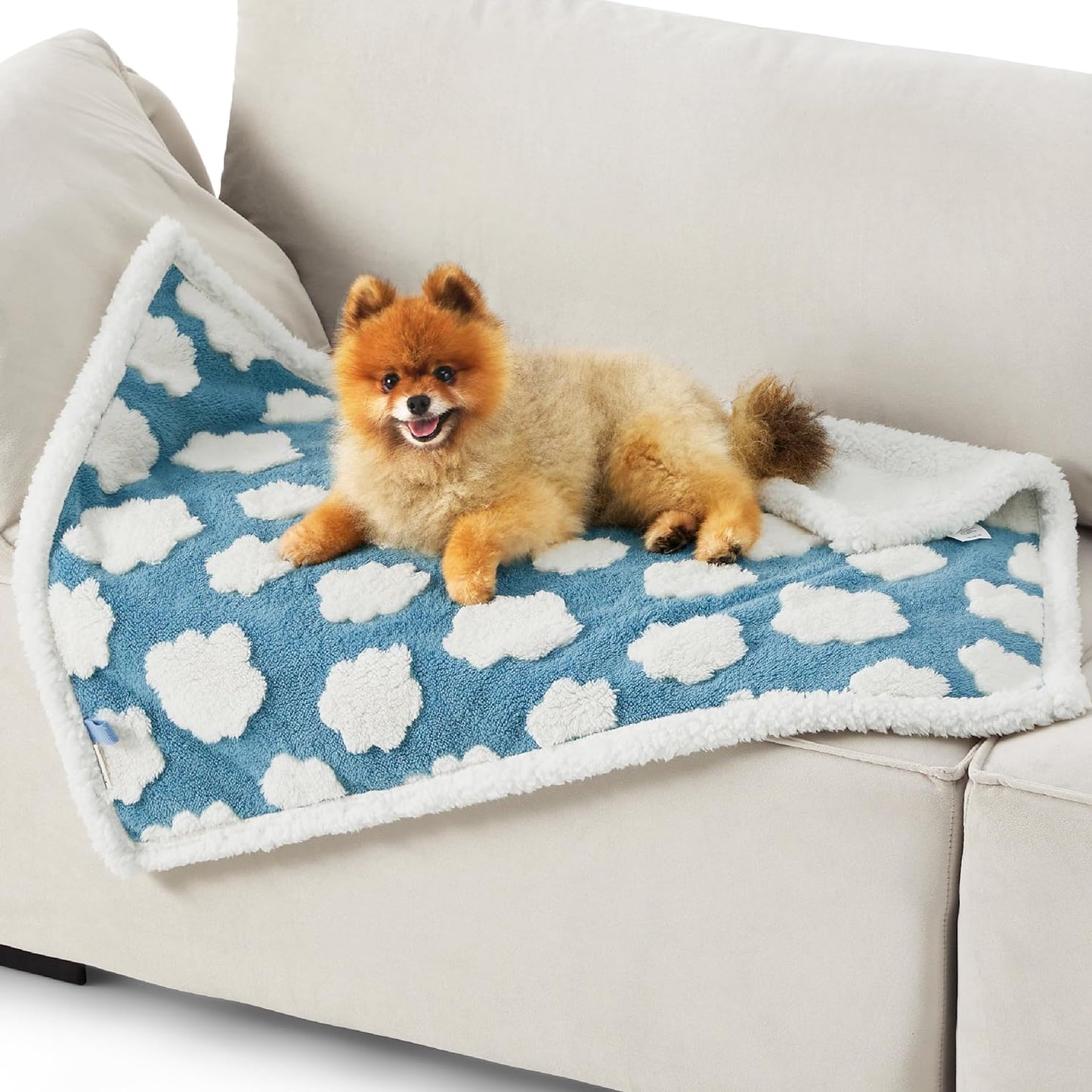 Waterproof Dog Blanket for Medium Dogs, 3D Textured Cloud (Blue)