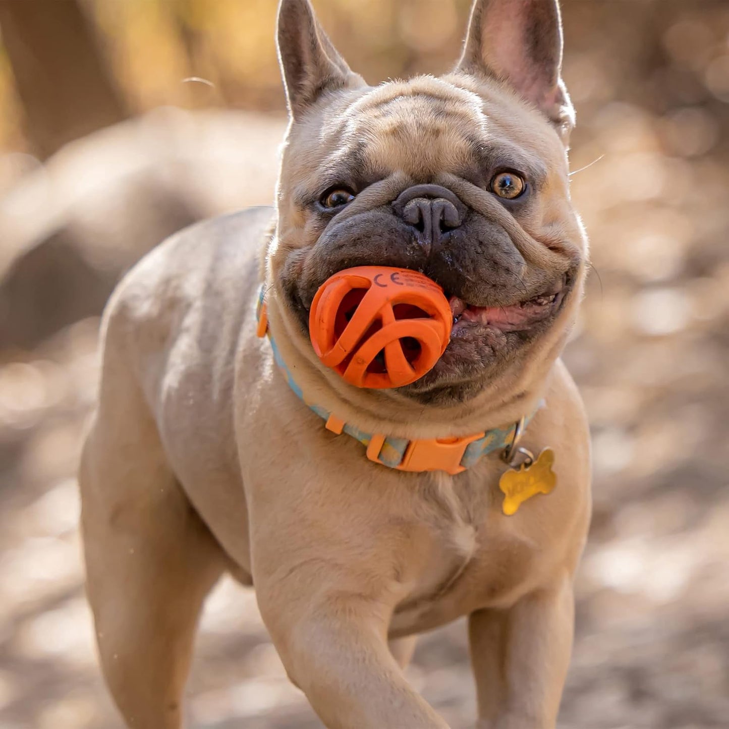 Air Fetch Ball Dog Toy, Small (2 Inch Diameter), for Dogs 0-20 Lbs, Pack of 2