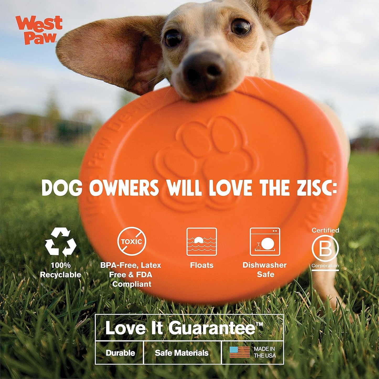 Zisc Dog Flying Disc Large 8.5", Glow