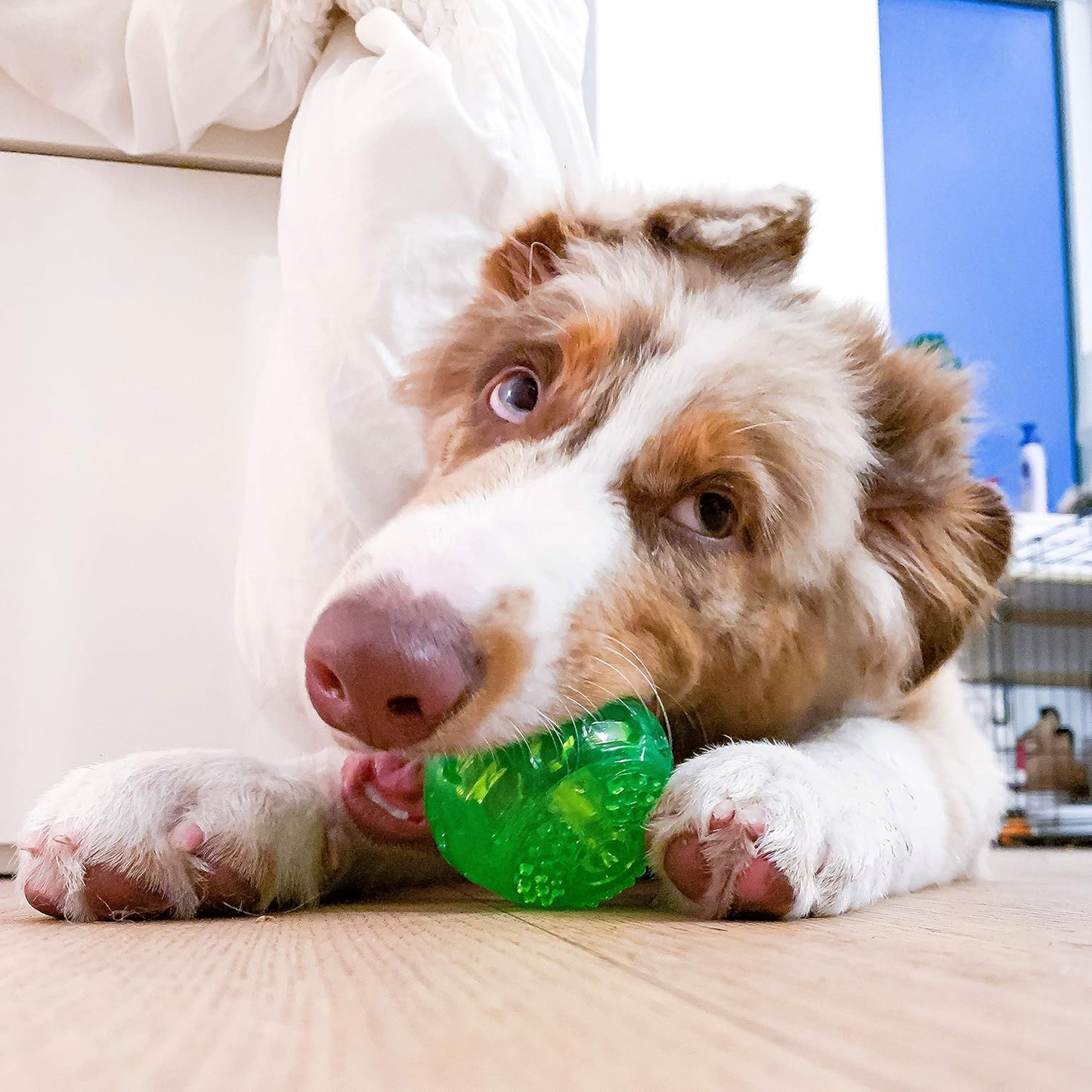 Durasqueak Dog Ball Toy Green 2.5 Inch