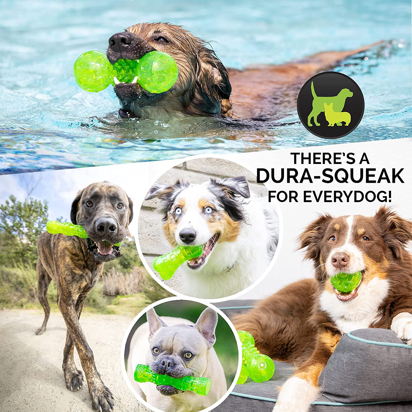 Durasqueak Dog Ball Toy Green 2.5 Inch