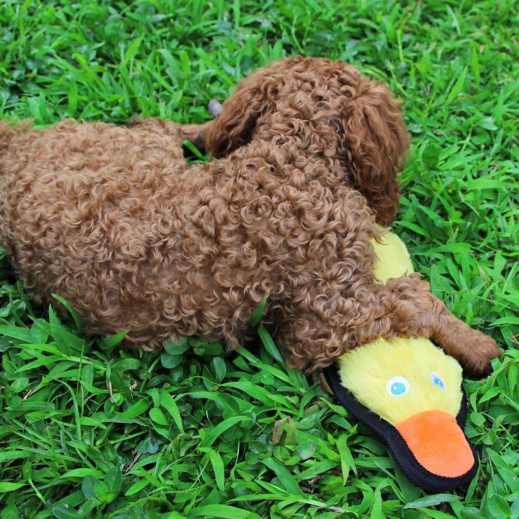 IFOYO Duck Dog Toy