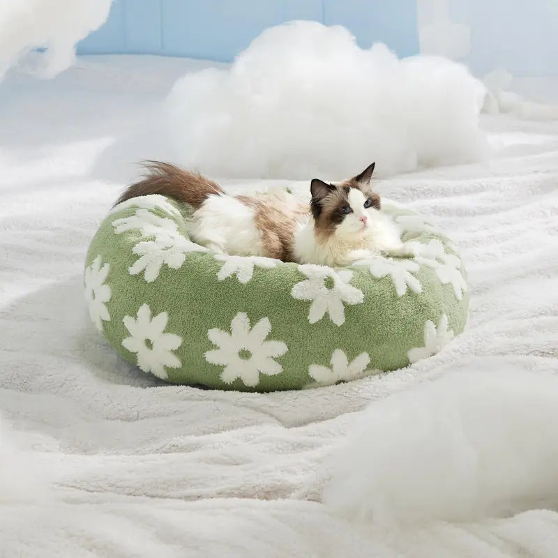 Lesure Donut Small Dog Bed - round Cat Beds for Indoor Cats Calming Pet Beds, Cute Modern Beds with Jacquard Shaggy Plush & anti Slip Bottom