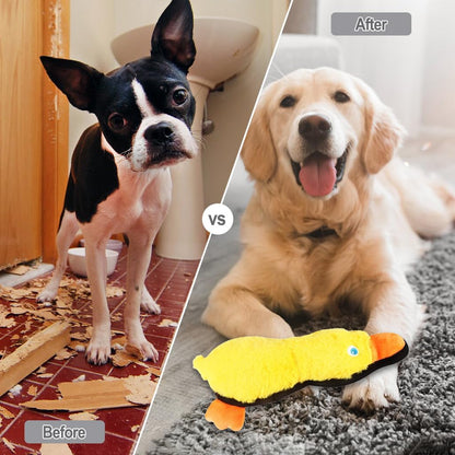 IFOYO Duck Dog Toy