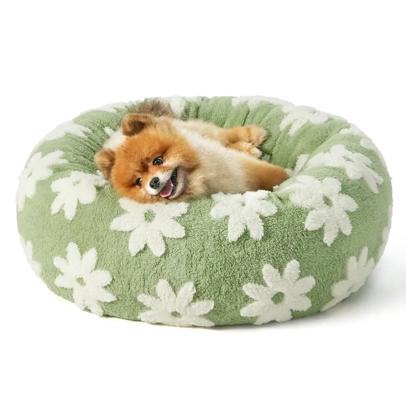 Lesure Donut Small Dog Bed - round Cat Beds for Indoor Cats Calming Pet Beds, Cute Modern Beds with Jacquard Shaggy Plush & anti Slip Bottom