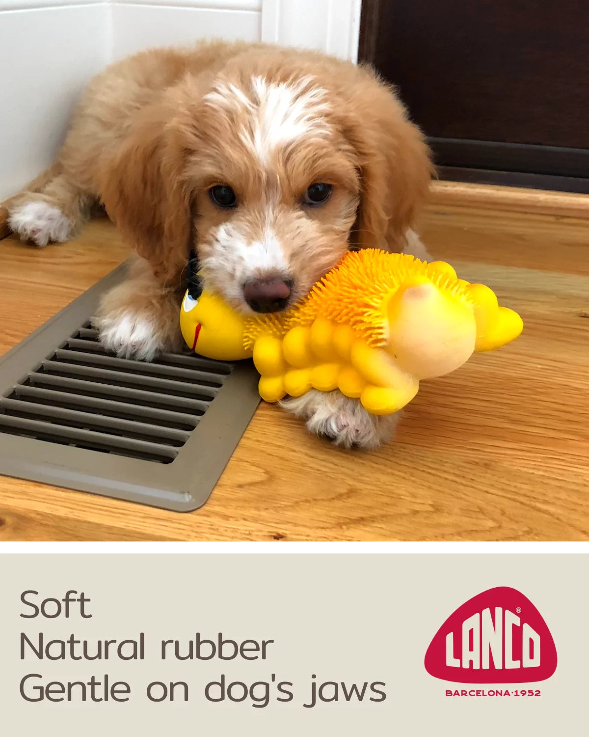 Caterpillar Squeaky Dog Toys Soft Sensory Natural Rubber (Latex)