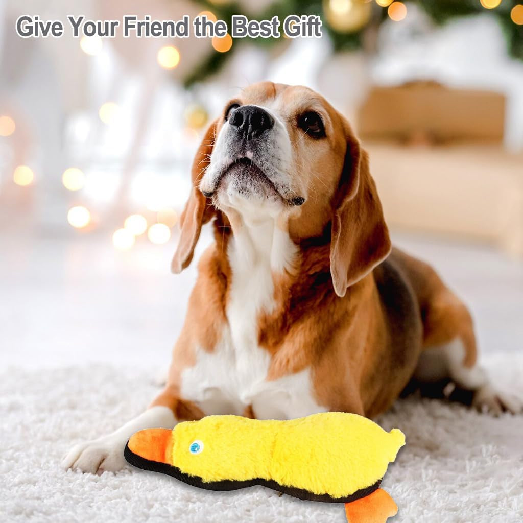 IFOYO Duck Dog Toy