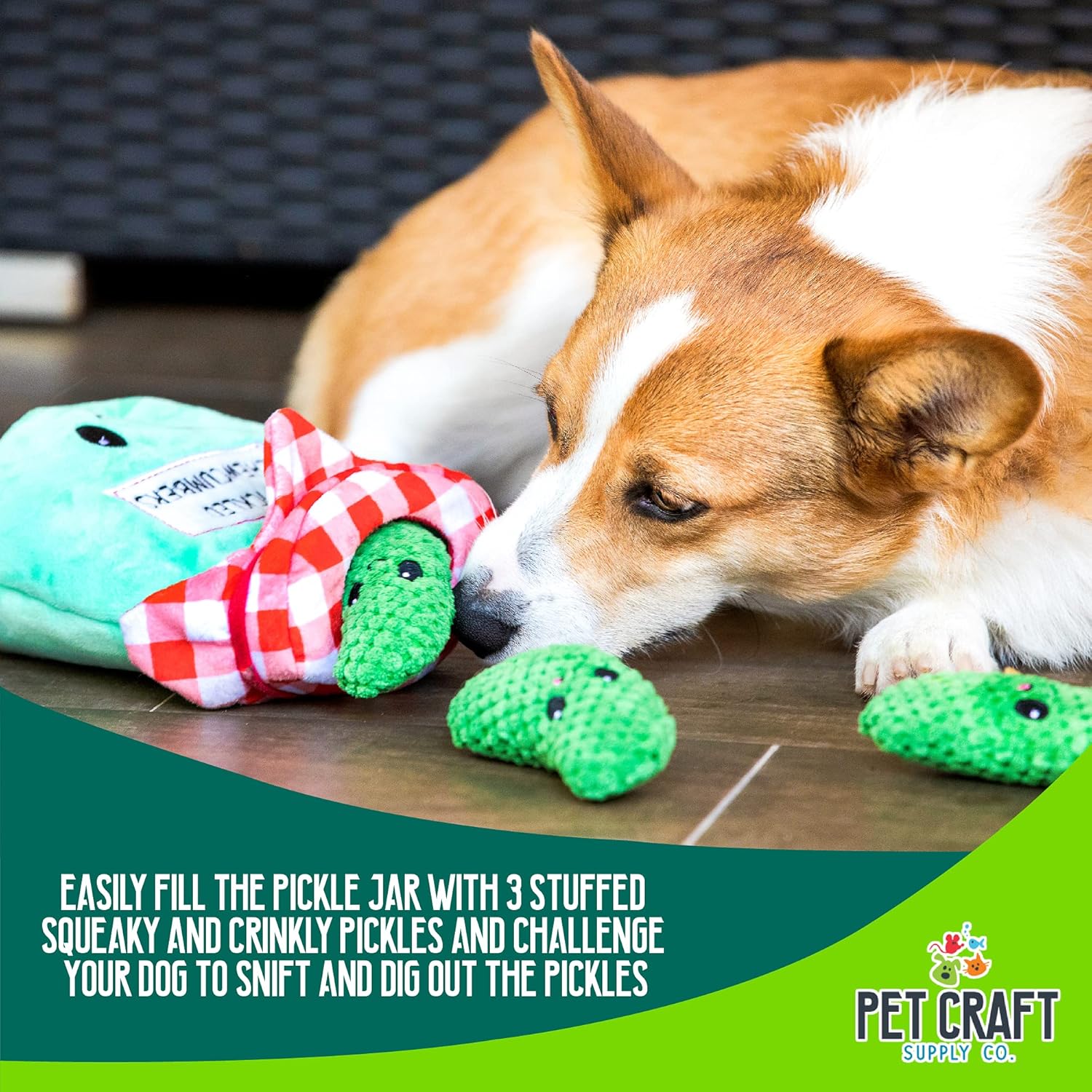 Plush Crinkle Squeaky Toy (Pickles)
