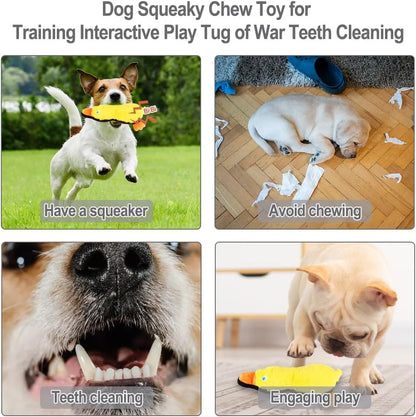 IFOYO Duck Dog Toy